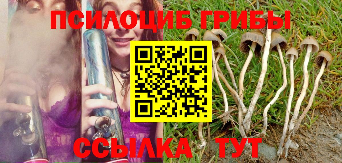 Галлюциногенные грибы Psilocybe  Галлюциногенные грибы мухоморы  Дедовск  Вход с VPN 