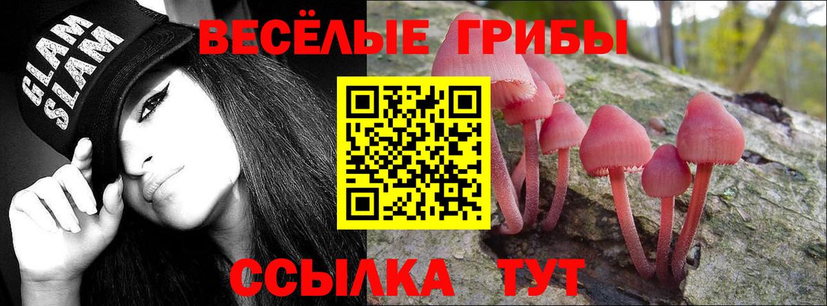Псилоцибиновые грибы MAGIC MUSHROOMS Дедовск